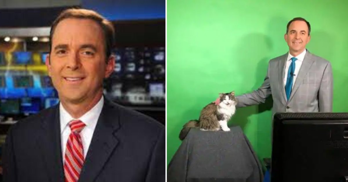 4 13.png?resize=1200,630 - The Weather Cat Who Interrupted Her Human’s Live Weather Telecast Is Now An Internet Sensation