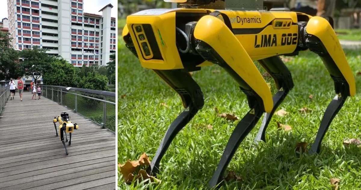 4 38.jpg?resize=1200,630 - Singapore Deployed "Robodogs” To Enforce Social Distancing In Parks