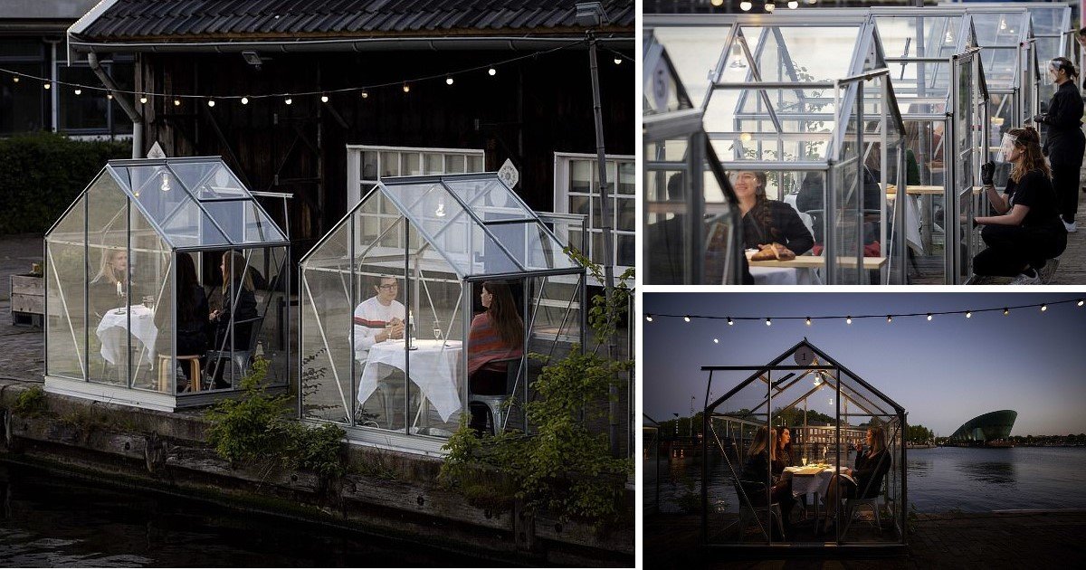 5 24.jpg?resize=1200,630 - Amsterdam Restaurant Introduced ‘Quarantine Greenhouses’ So Diners Could Sit Isolated, Ensuring Social Distancing