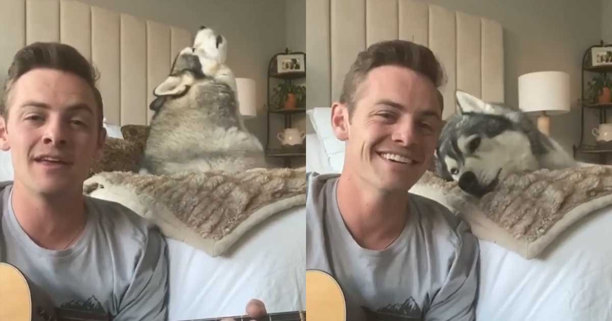 5 69.jpg?resize=412,232 - Husky Sings “Lean On Me” With Human To Cheer People Up Amid Pandemic