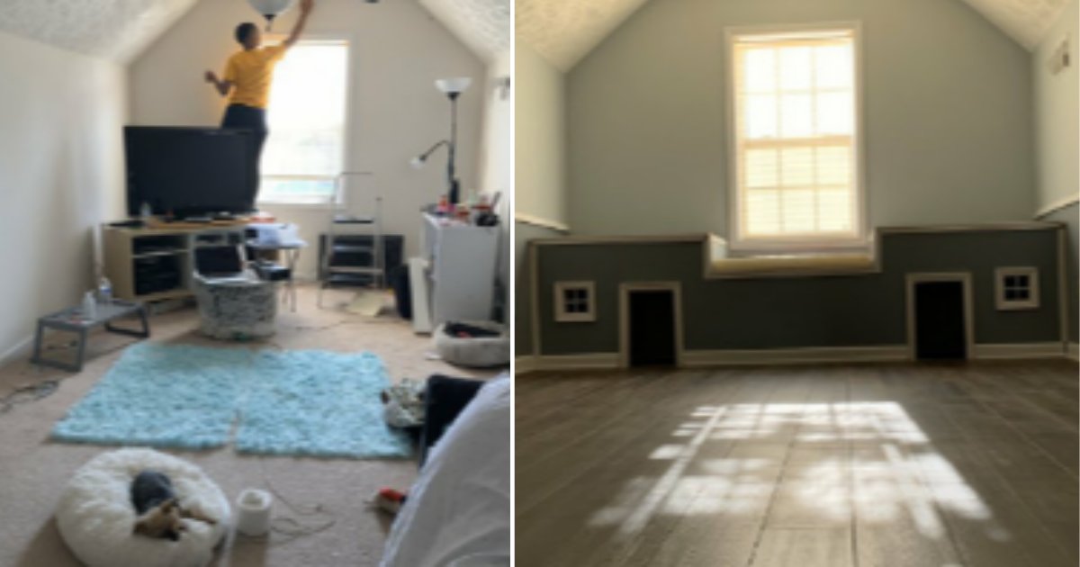 6 12.png?resize=412,275 - Woman Turned A Spare Room Into A House For Her Dogs