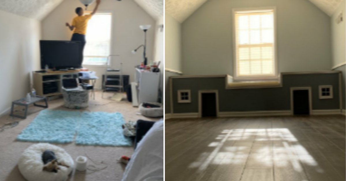 6 12.png?resize=412,232 - Woman Turned A Spare Room Into A House For Her Dogs