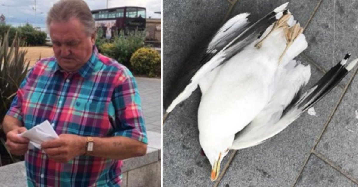 6 7.png?resize=412,275 - A Man Thrashed A Seagull To Death for Taking His Chips