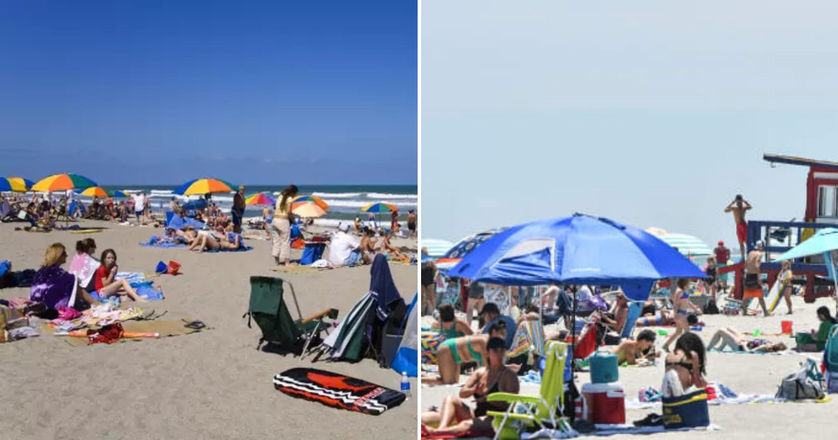 beach5.png?resize=1200,630 - People Left More Than 6,000kg Of Trash On Florida Beaches After It Reopened