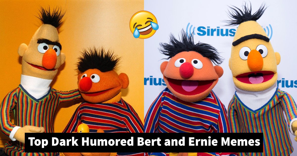 bert and ernie memes.jpg?fit=1024%2C538&ssl=1&strip=all - Dark Humored Bert and Ernie Memes Sure To Make You Smile