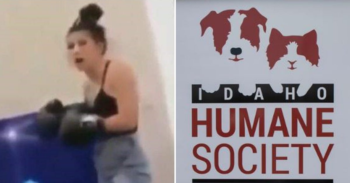 box5.png?resize=412,275 - Woman Faces Investigation After Her Snapchat Video Went Viral And People Called For Her To Be Prosecuted