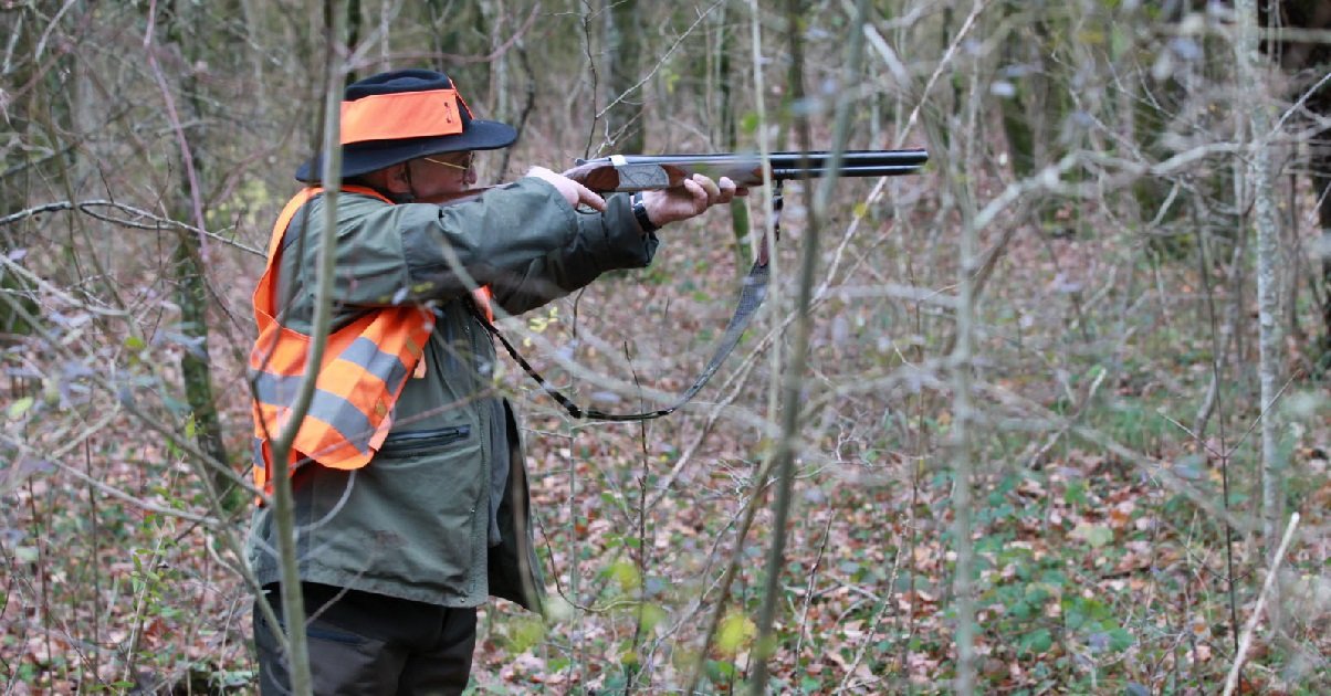 chasse.jpg?resize=412,275 - Accident: en 2017, un chasseur a confondu une femme pour un cerf et lui a tiré dessus !