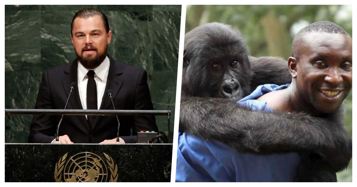 collage 43.jpg?resize=1200,630 - Leonardo DiCaprio Joins Efforts To Support One of the Most Important Nature Reserves in Africa