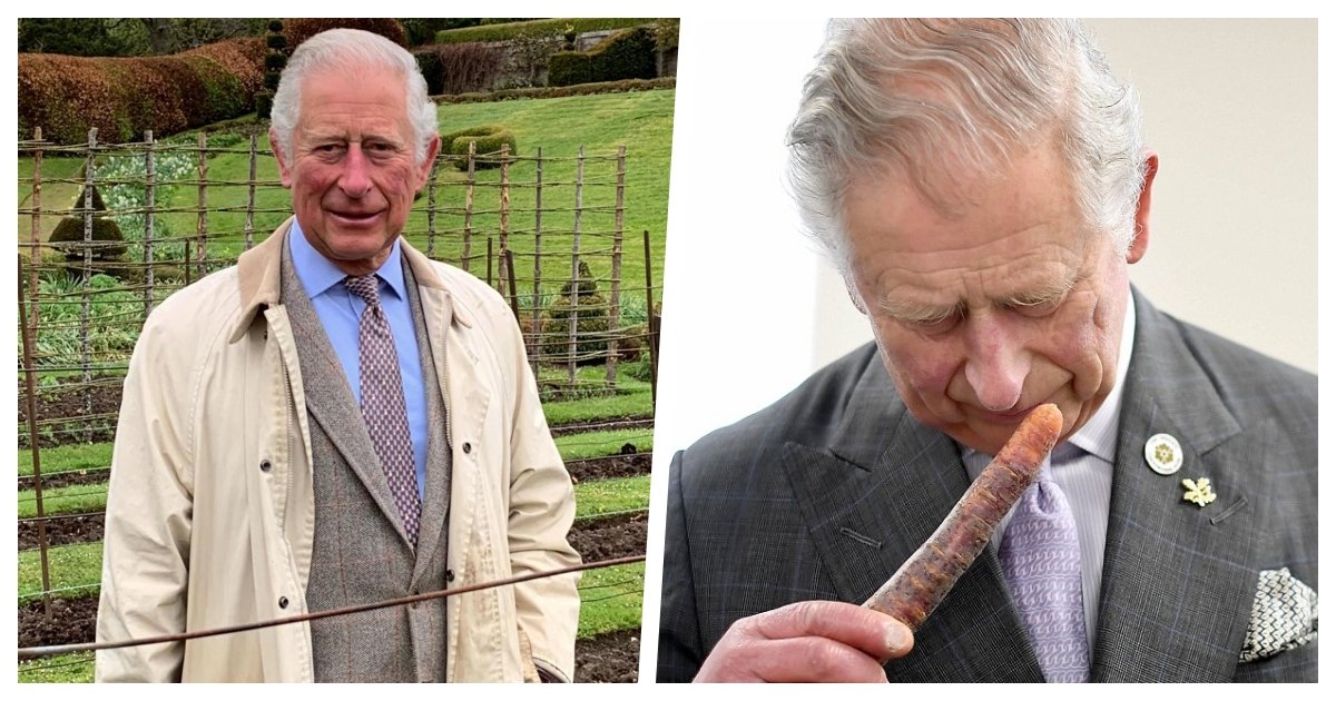 collage 47.jpg?fit=1024%2C538&ssl=1&strip=all - Prince Charles Calls on Students and Furloughed Workers to Help Farmers Harvest Crops