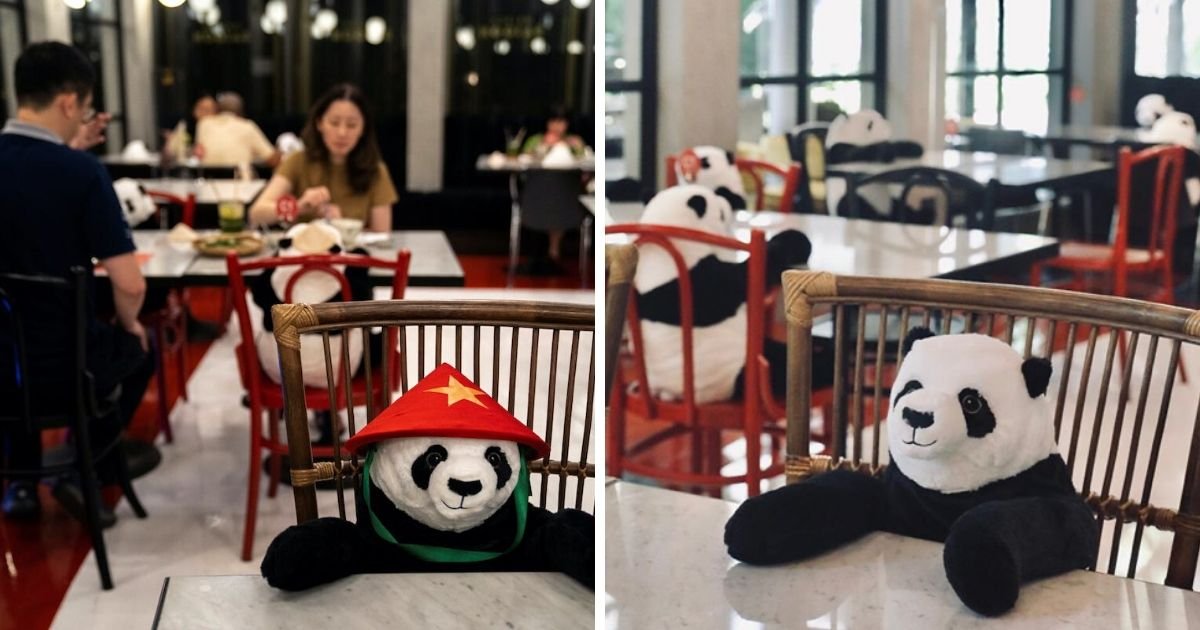 cover 5.jpg?resize=412,232 - A Restaurant Placed Sitting Panda Bears at Tables to Keep Customers Company While Social Distancing