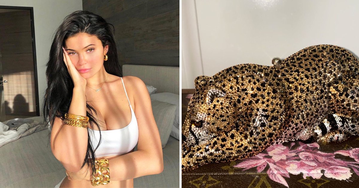 ggsssdsf.jpg?resize=1200,630 - Kylie Jenner Spends £9k On Crystal Cheetah Handbags For Her Sisters On Mother's Day