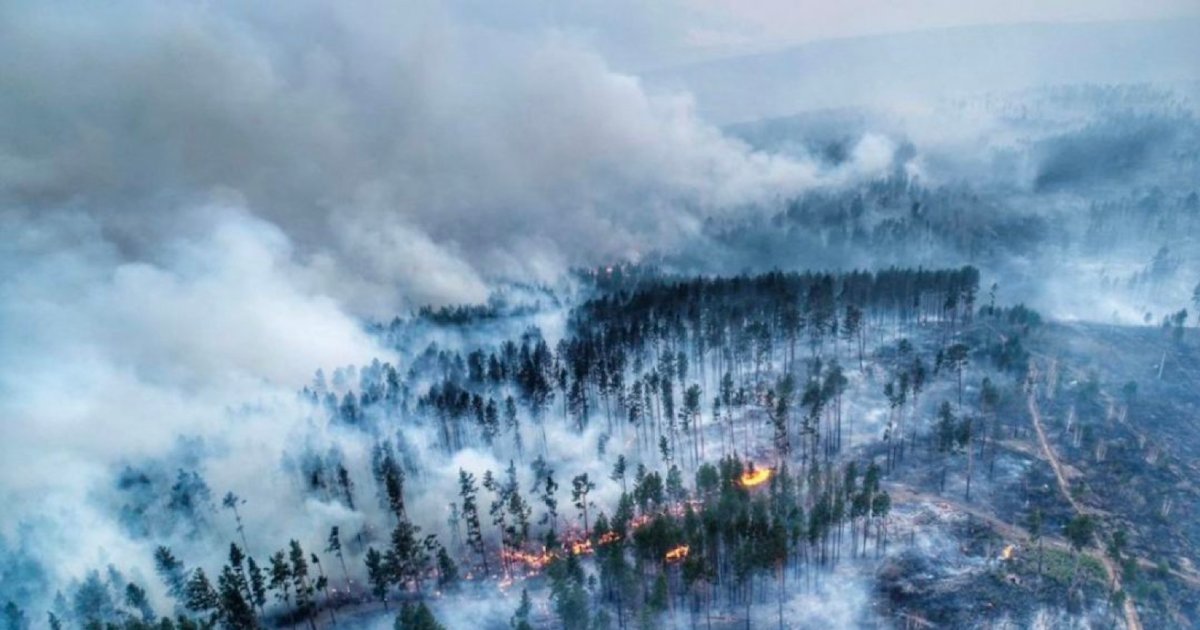 incendies siberie.png?resize=412,232 - La Sibérie fait actuellement face à de violents incendies