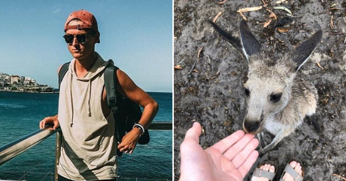 kangaroo8.png?resize=412,275 - This Guy Got So Drunk He Adopted A Baby Kangaroo, It Turned Out To Be One Of The Best Decisions He Ever Made