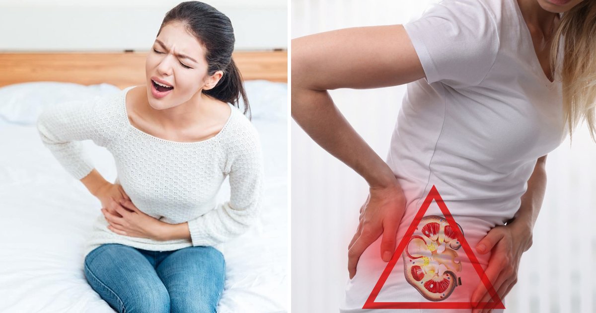 kidney disease.jpg?fit=1024%2C538&ssl=1&strip=all - 12 Signs That Indicate You Might Be Suffering From Kidney Disease