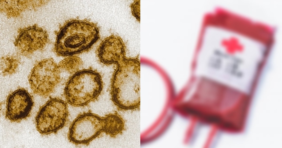 新型コロナウイルスの感染の確率は血液型によってかなり違うという説は本当なのか Hachibachi