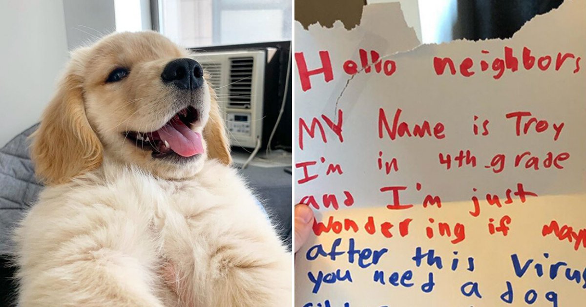 letter6.png?resize=412,275 - 10-Year-Old Boy Wrote A Letter To Neighbor And It’s Making Rounds On Social Media