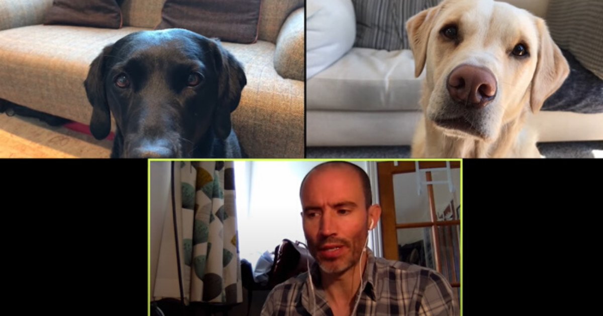 meeting.png?resize=1200,630 - Sports Broadcaster Held A ‘Business Meeting’ With His Two Dogs And It Quickly Went Viral
