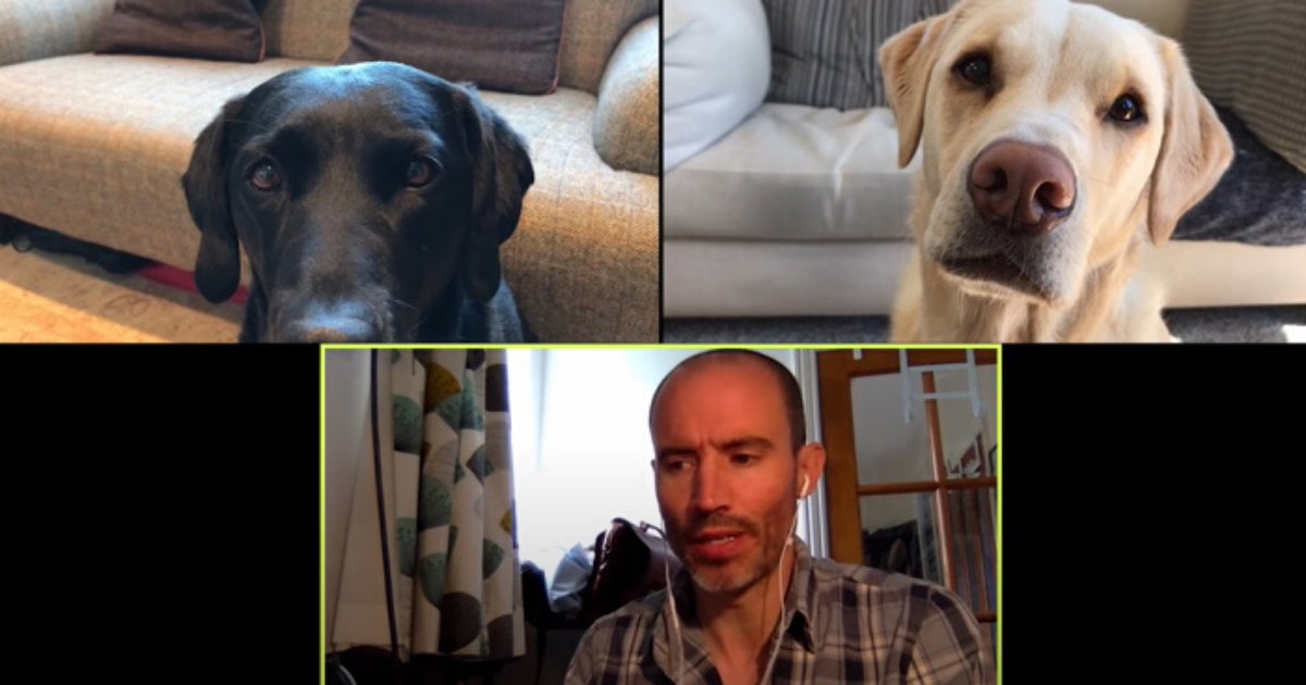 meeting.png?resize=412,275 - Sports Broadcaster Held A ‘Business Meeting’ With His Two Dogs And It Quickly Went Viral