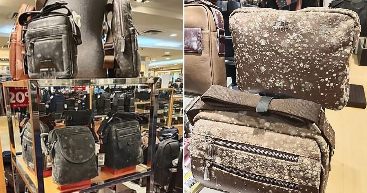 mold5.png?resize=412,275 - Shoes And Bags Covered In Mold After They Were Left Untouched In Store Closed For Months Due To Coronavirus Lockdown