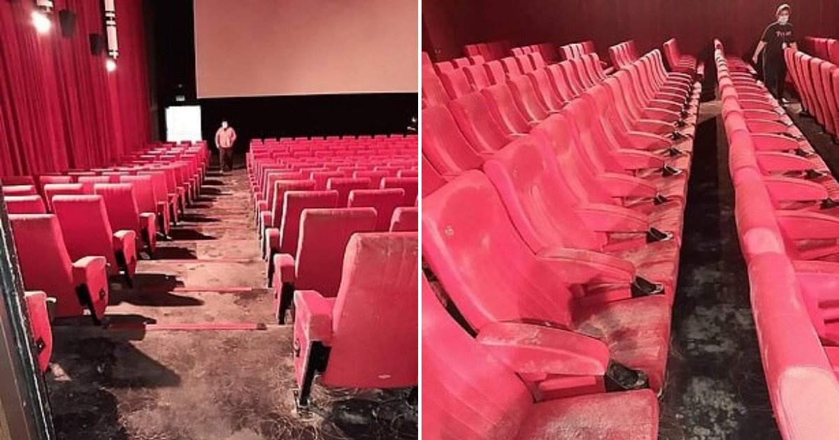 moldy2.png?resize=412,232 - Cinema Seats And Carpets Covered In Mold After Nearly Two-Month Lockdown