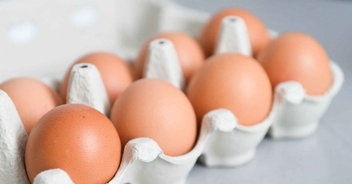 ovocom 1 1 e1589379686888.jpg?resize=1200,630 - Attention : Un demi-million d'œufs sont rappelés en magasin pour risque de salmonelles
