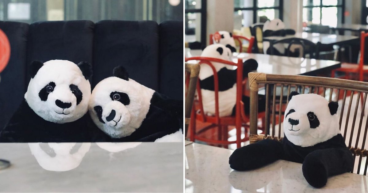 pandas5.png?resize=412,275 - Restaurant Comes Up With Genius Idea To Help Diners Feel Less Lonely While Social Distancing