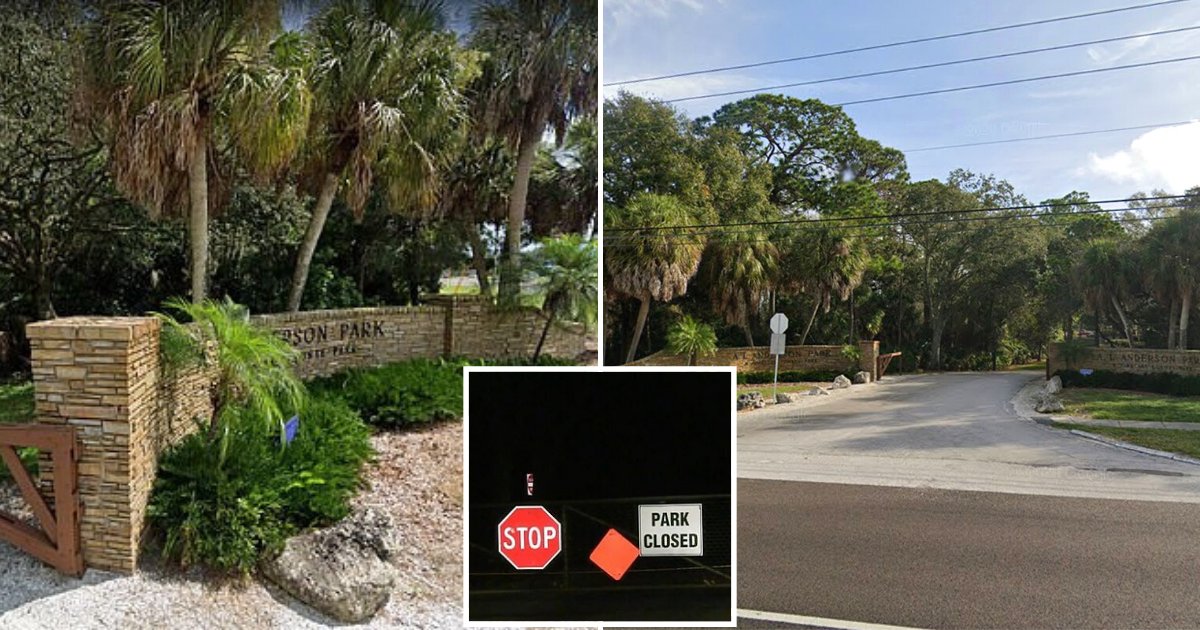 park4.png?resize=412,275 - 15-Year-Old Girl Accidentally Hit And Took The Life Of Her Father During A Driving Lesson