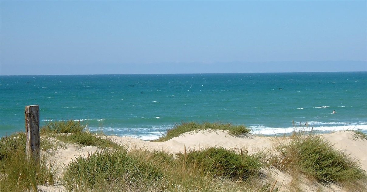 plage.jpg?resize=412,275 - Déconfinement: comment se dérouleront les réouvertures des plages et des lacs à partir du lundi 11 mai ?