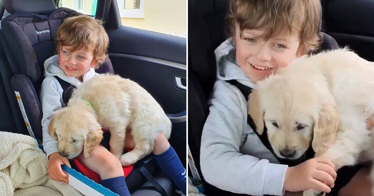 puppy6.png?resize=1200,630 - Adorable Moment A 4-Year-Old Boy With Autism Received A Puppy