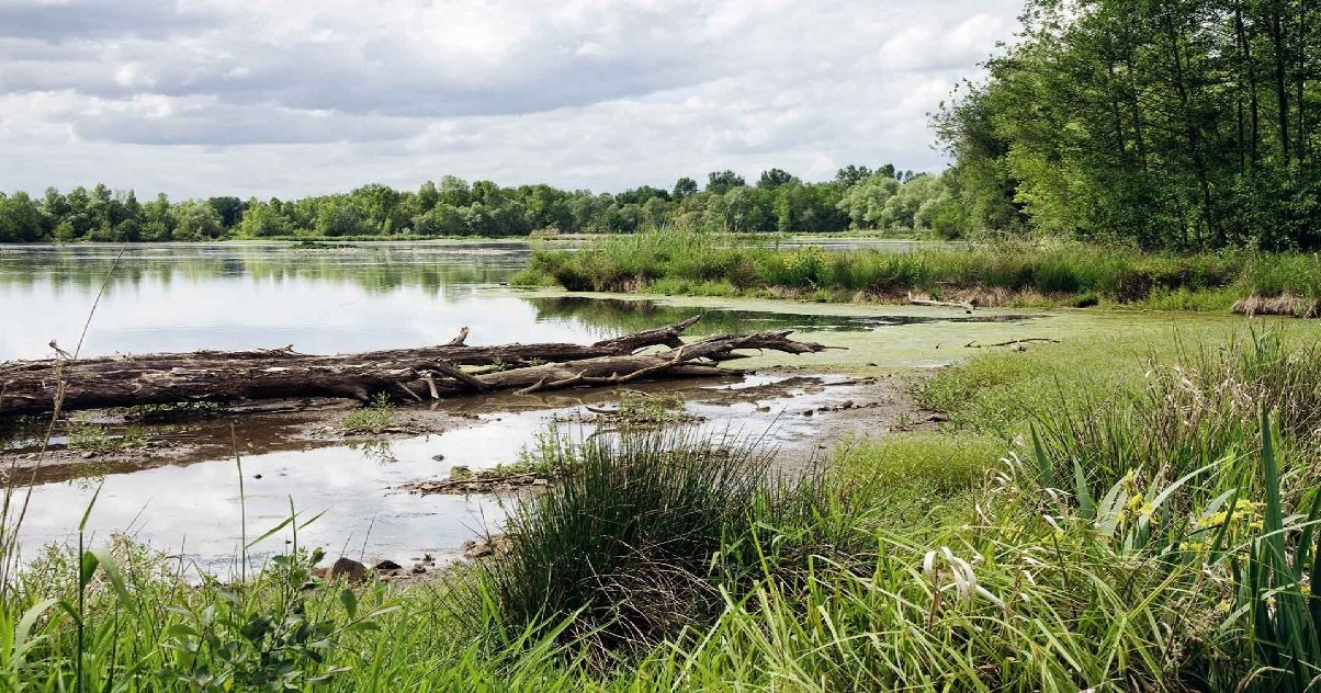 roanne.jpg?resize=412,275 - Roanne: sur les berges de la Loire, un bébé a été retrouvé mort dans un sac plastique...