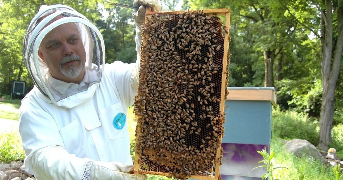 untitled design 39.jpg?resize=412,275 - Beekeeper Built A Giant Beehive Out Of LEGOs