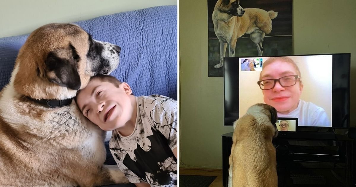 untitled design 6 3.jpg?resize=412,275 - Disabled Boy Separated From His Beloved Rescue Dog Amid The Coronavirus Pandemic