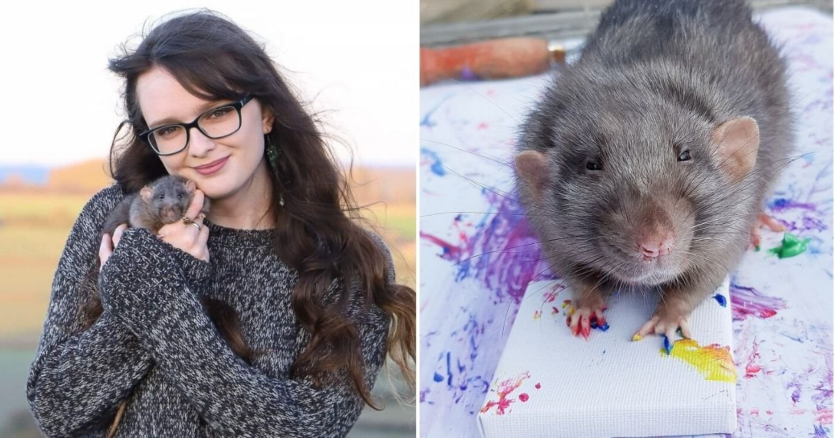 untitled design 8 3.jpg?resize=412,275 - ‘Tiny Paws Art!’ Adorable Pet Rats Are Making Mini Paintings