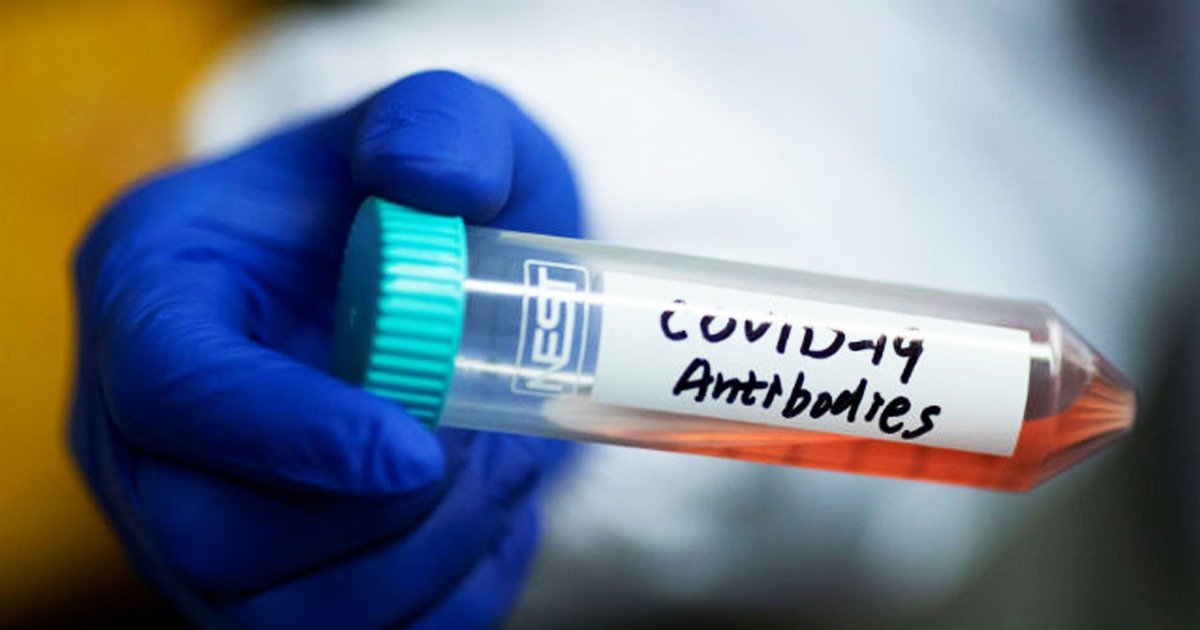 whatsapp image 2020 05 05 at 2 20 19 am.jpeg?resize=1200,630 - Scientists Claim to Find Antibodies That Could Block COVID-19 From Infecting Living Cells