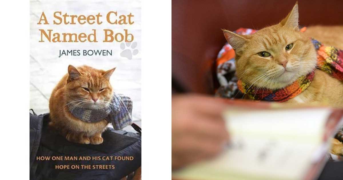 1 91.jpg?resize=412,275 - Stray Who Inspired Street Cat Named Bob Book Series Dies At Age 14