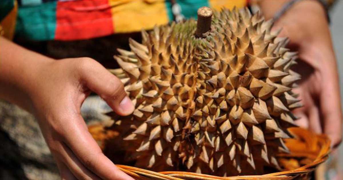 180809104725 year of the durian davao city exlarge 169.jpg?resize=412,275 - A Box Of Durian Sent Six Workers To Hospital