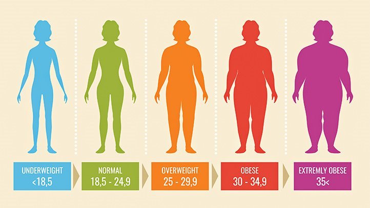 the BMI calculator details