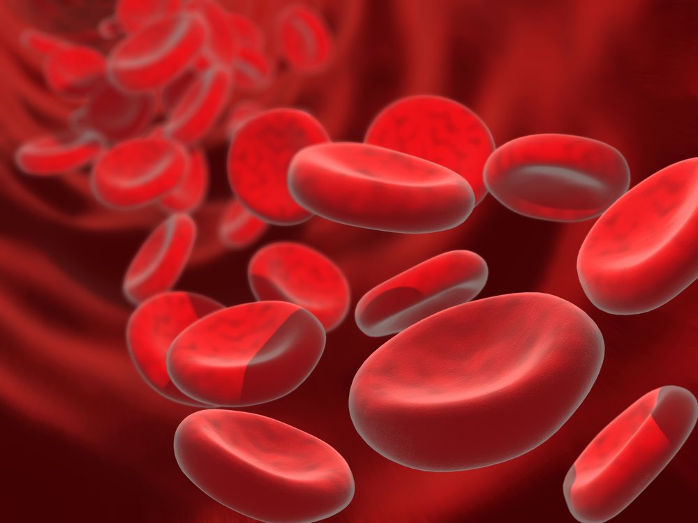 Anemia in the Older Adult: 10 Common Causes & What to Ask