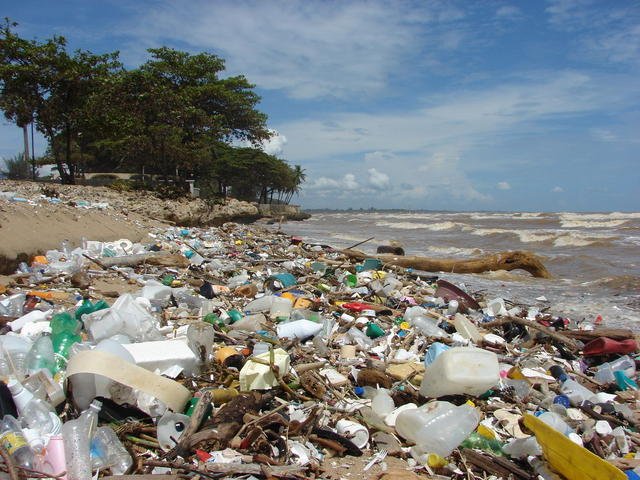 Día Mundial de Limpieza de Playas 2014 - Conciencia Eco