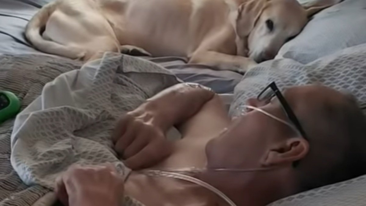 YouTube: Un perro acompaña a su dueño hasta el final, ambos mueren ...