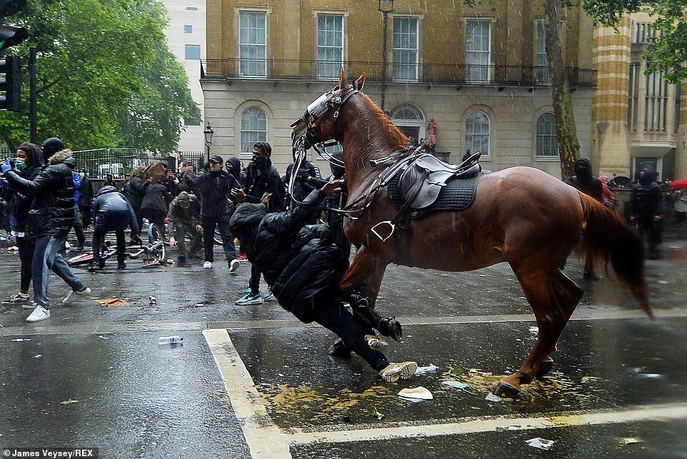 The runaway police horse then turns back on itself, slamming a demonstrator to the ground as it attempts to flee the scene