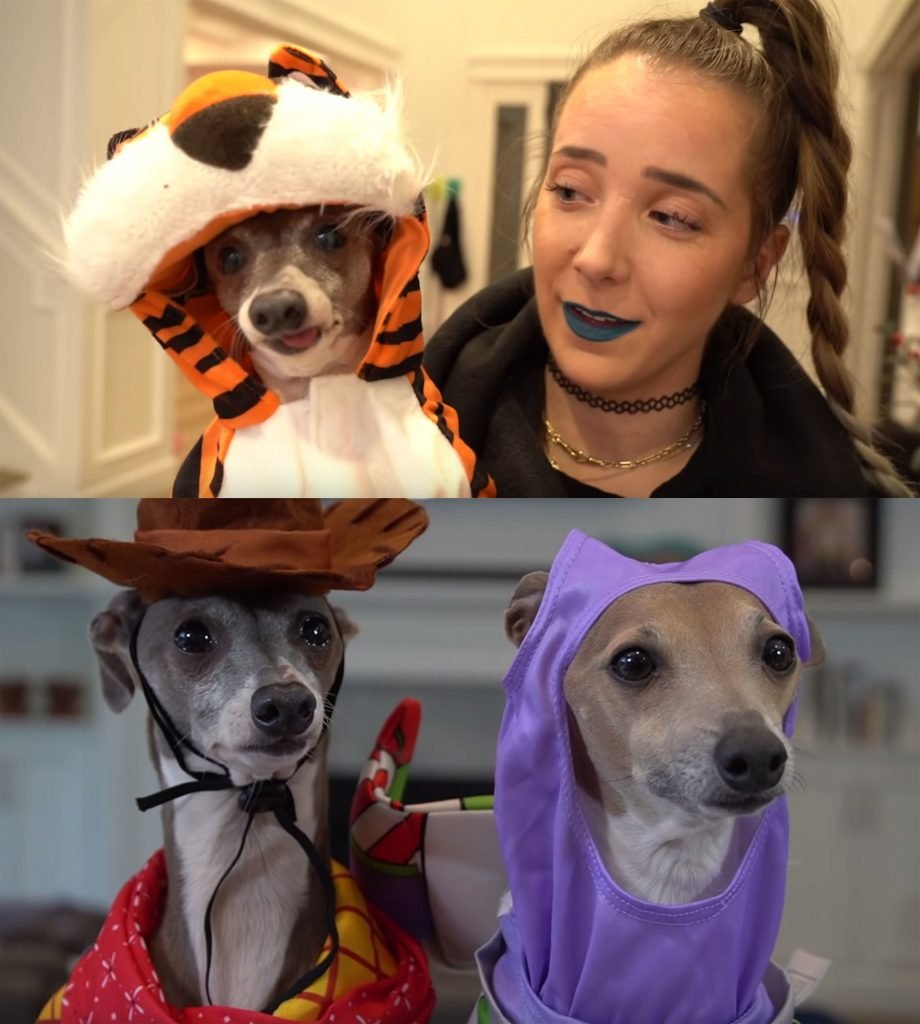 Jenna Marbles Dogs You Must See That's Breaking The