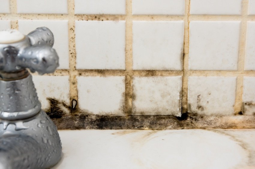 El moho del baño o la cocina ¿es peligroso?