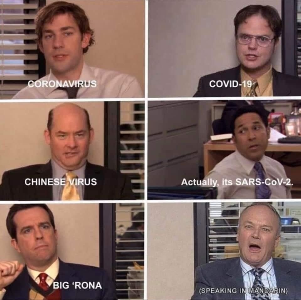 the best The Office memes