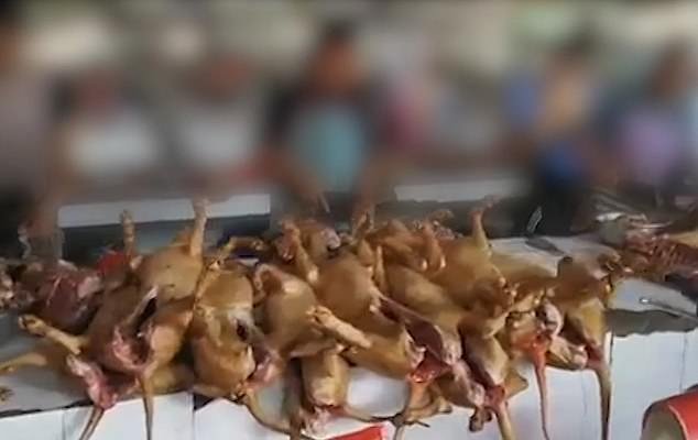 Heart-breaking footage shows piles of dog carcasses being sold at a market in Yulin this month