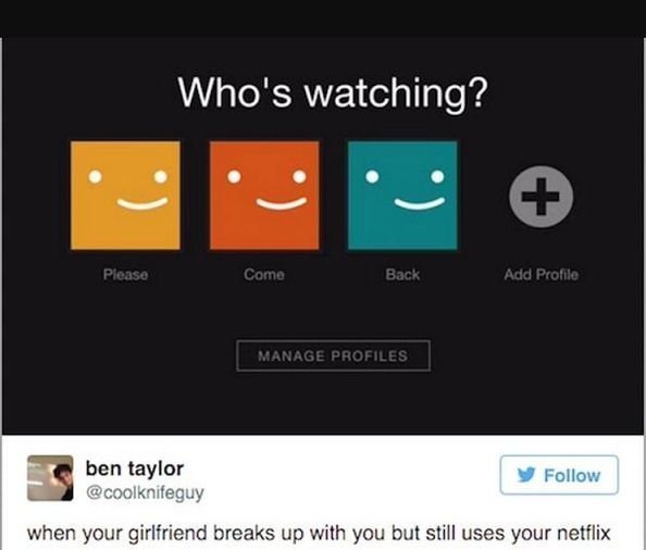 The best of Netflix meme