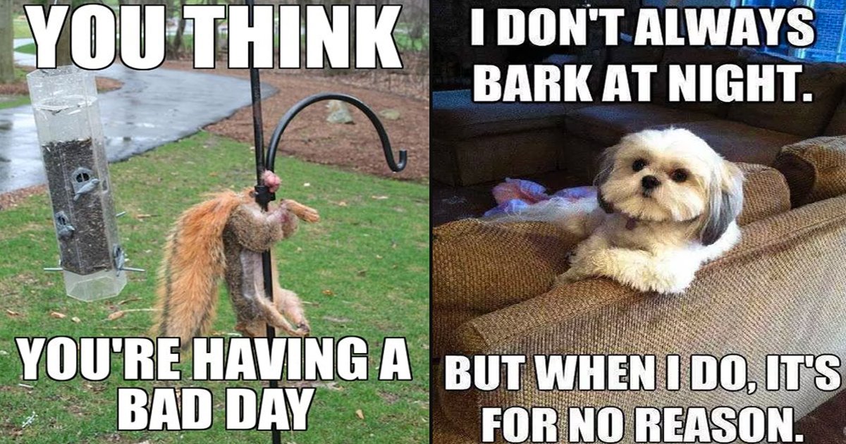 Hilarious Bad Day Meme Collection That’s Sure To Make You Smile