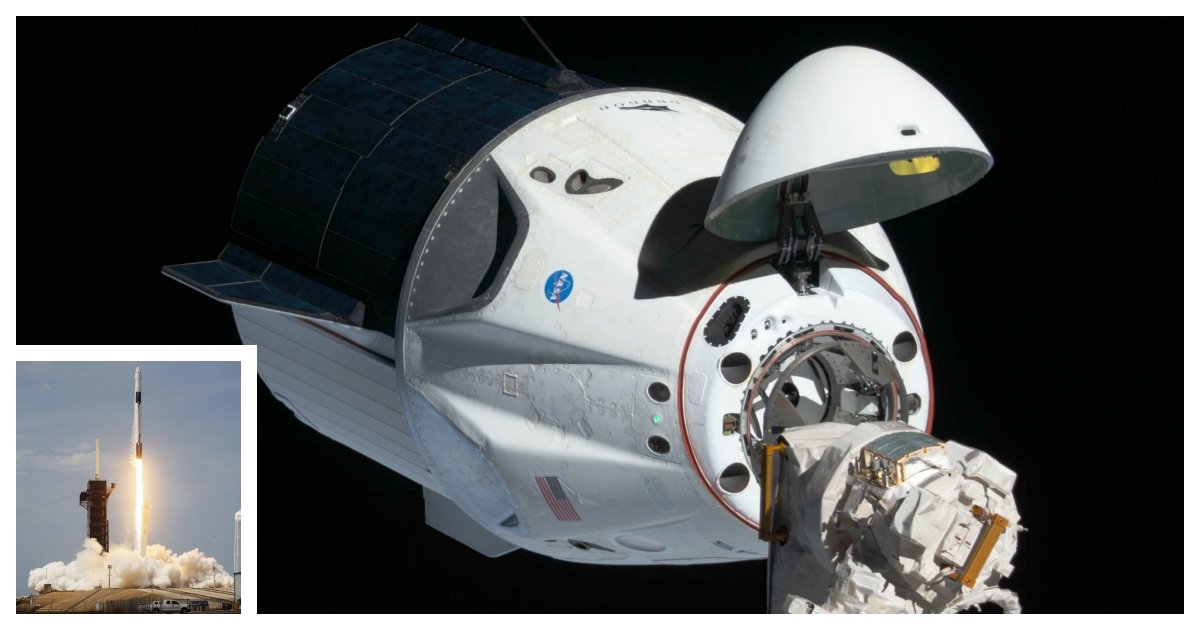 collage 1.jpg?resize=1200,630 - SpaceX's Crew Dragon Successfully Docks With the International Space Station