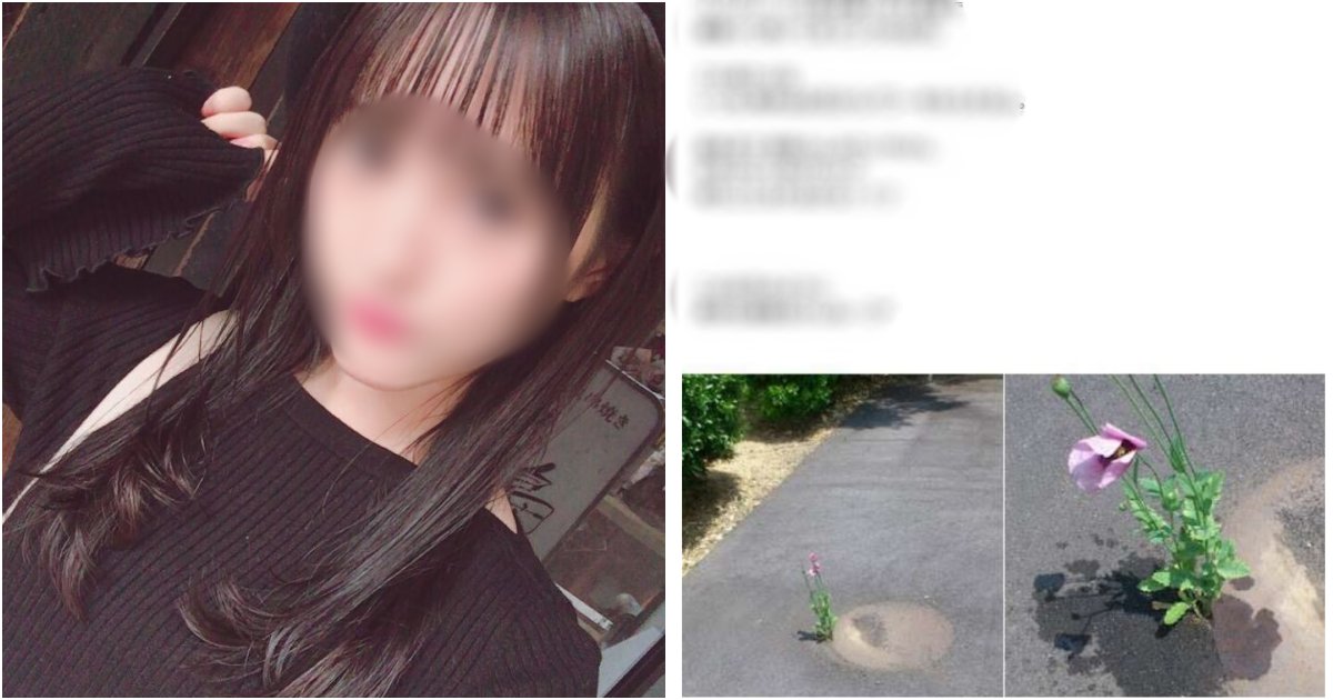 collage 63.png?resize=1200,630 - "누가 꽃이게요~~?" 꽃에 물 주는 사진 올렸다가 체포된 아이돌 걸그룹 멤버