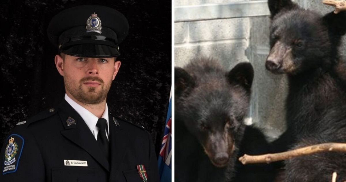 cover 10.jpg?resize=412,232 - Conservation Officer Fired From Refusing The Order To Execute Bear Cubs Wins Legal Battle